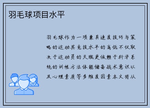 羽毛球项目水平